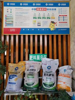 &ldquo;富島翔燕中國化肥增值行動(dòng)&rdquo;走進(jìn)新疆增值肥料助力新疆農(nóng)業(yè)發(fā)展