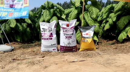 煙草死棵怎么辦,科學施肥助力&ldquo;煙都&rdquo;煙草增產(chǎn)提質(zhì)